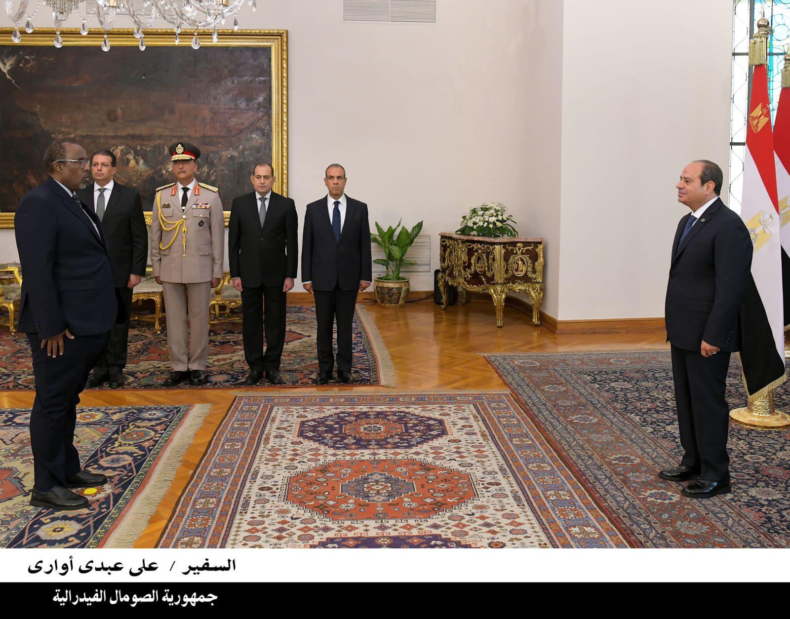 الرئيس السيسي يتسلم أوراق اعتماد 12 سفيرًا جديدًا لدى مصر