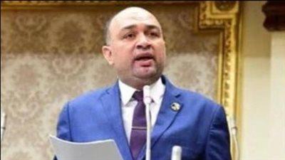 النائب أحمد أبوزيد