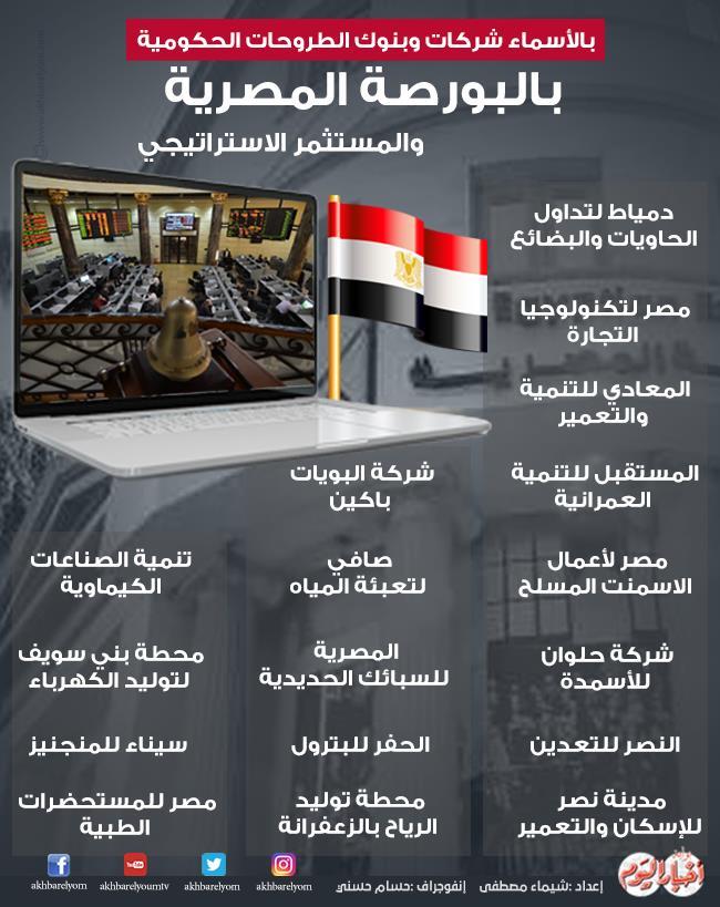 برنامج الطروحات الحكومية