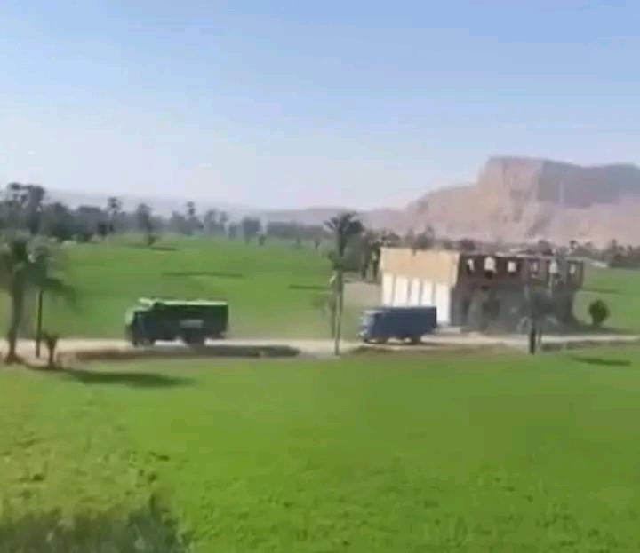  محمد محسوب 