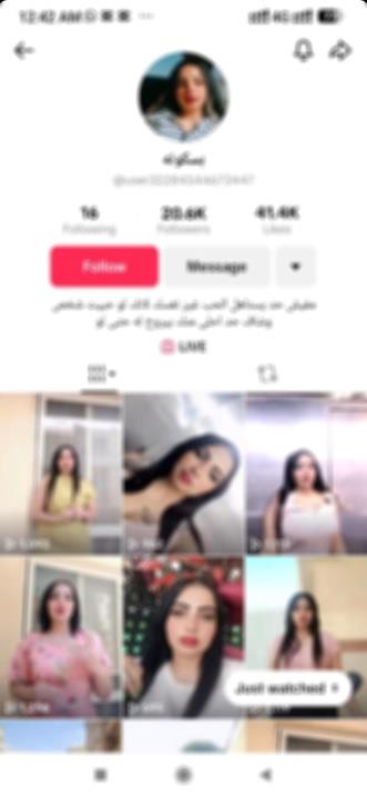 البلوجر