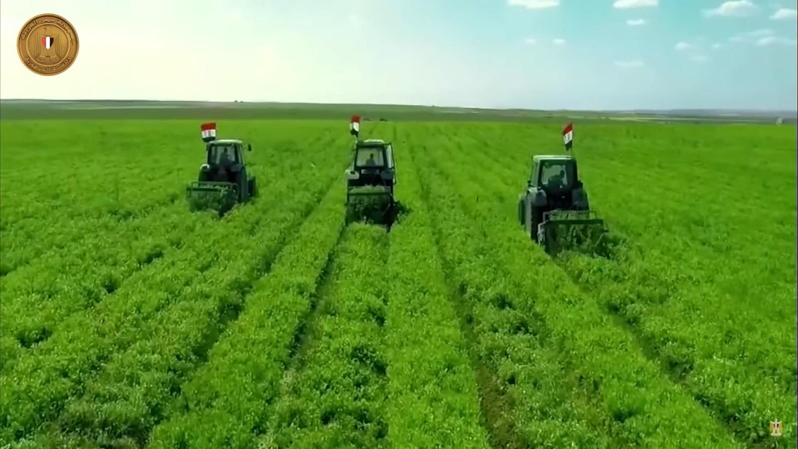 من التخطيط إلى التنفيذ.. كيف يعزز مشروع الدلتا الجديدة الاقتصاد؟ 3 20260518152528716