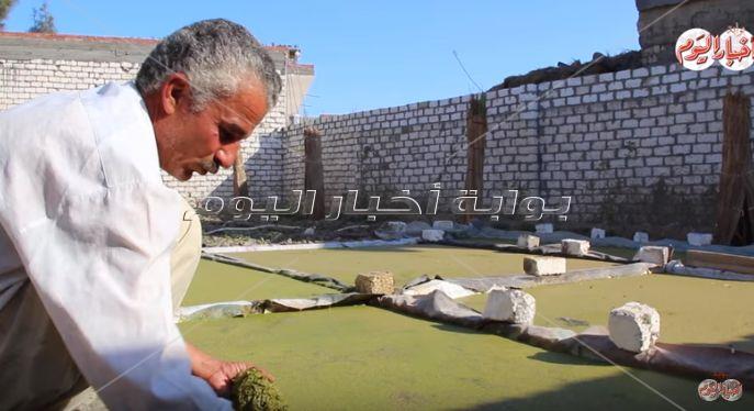 نجع عون