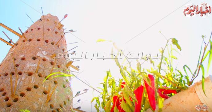 نجع عون