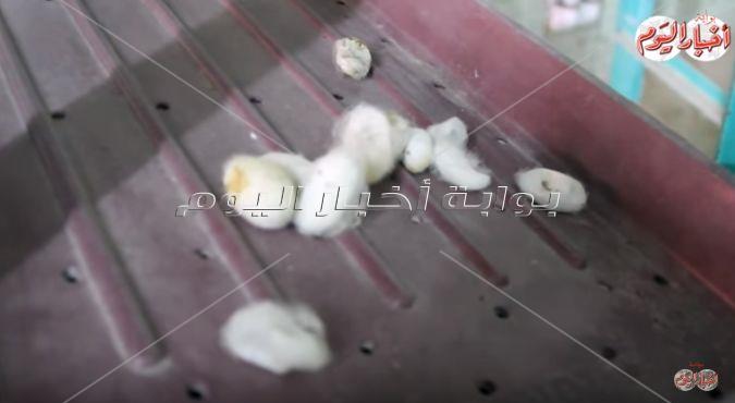 نجع عون