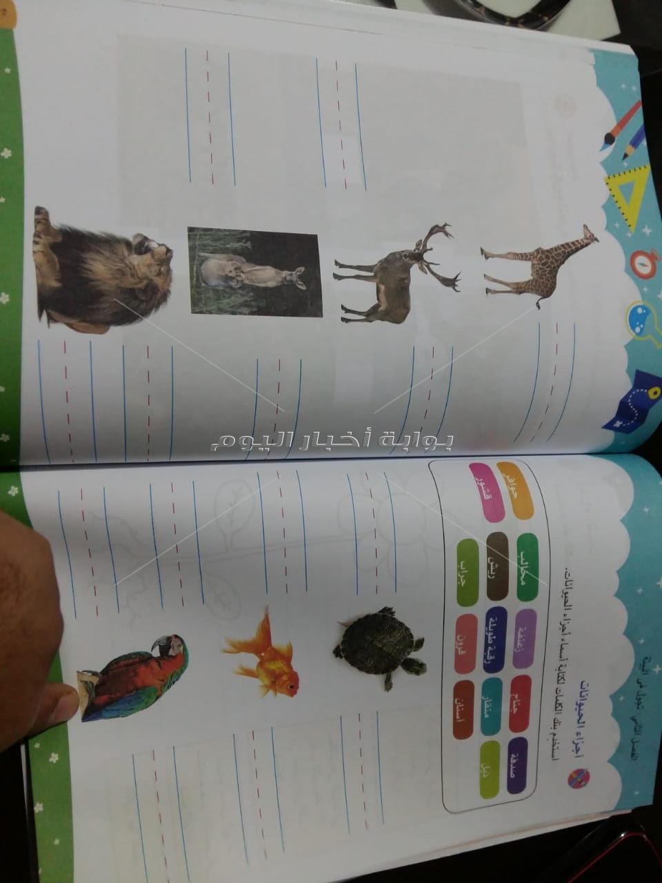  كتاب الباقة