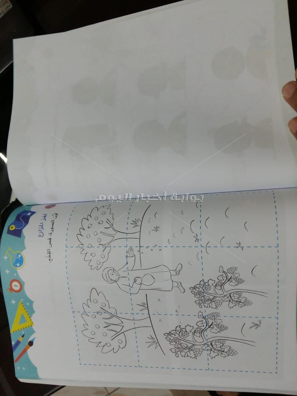 كتاب الباقة