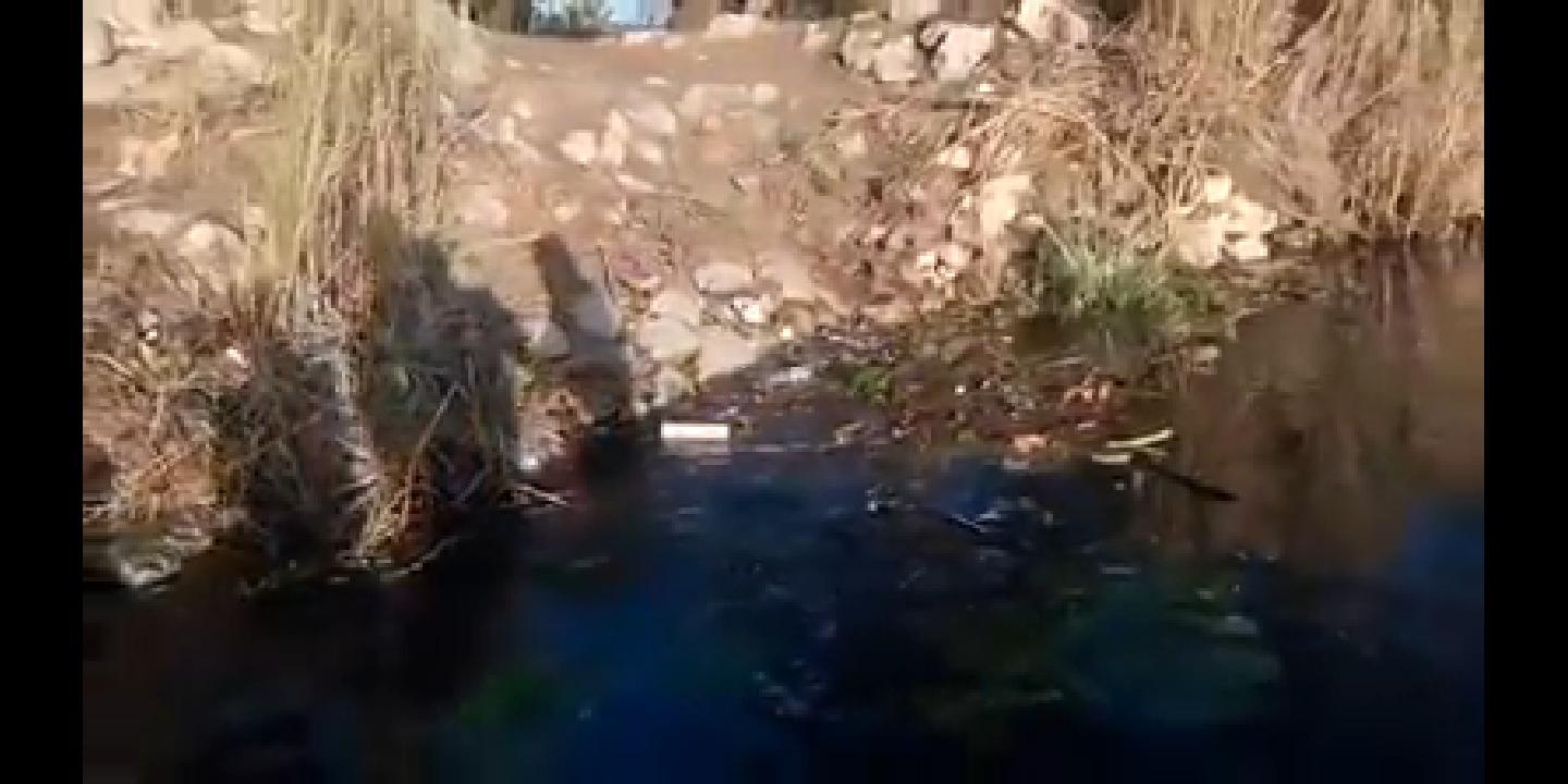 كارثة في بسيون 