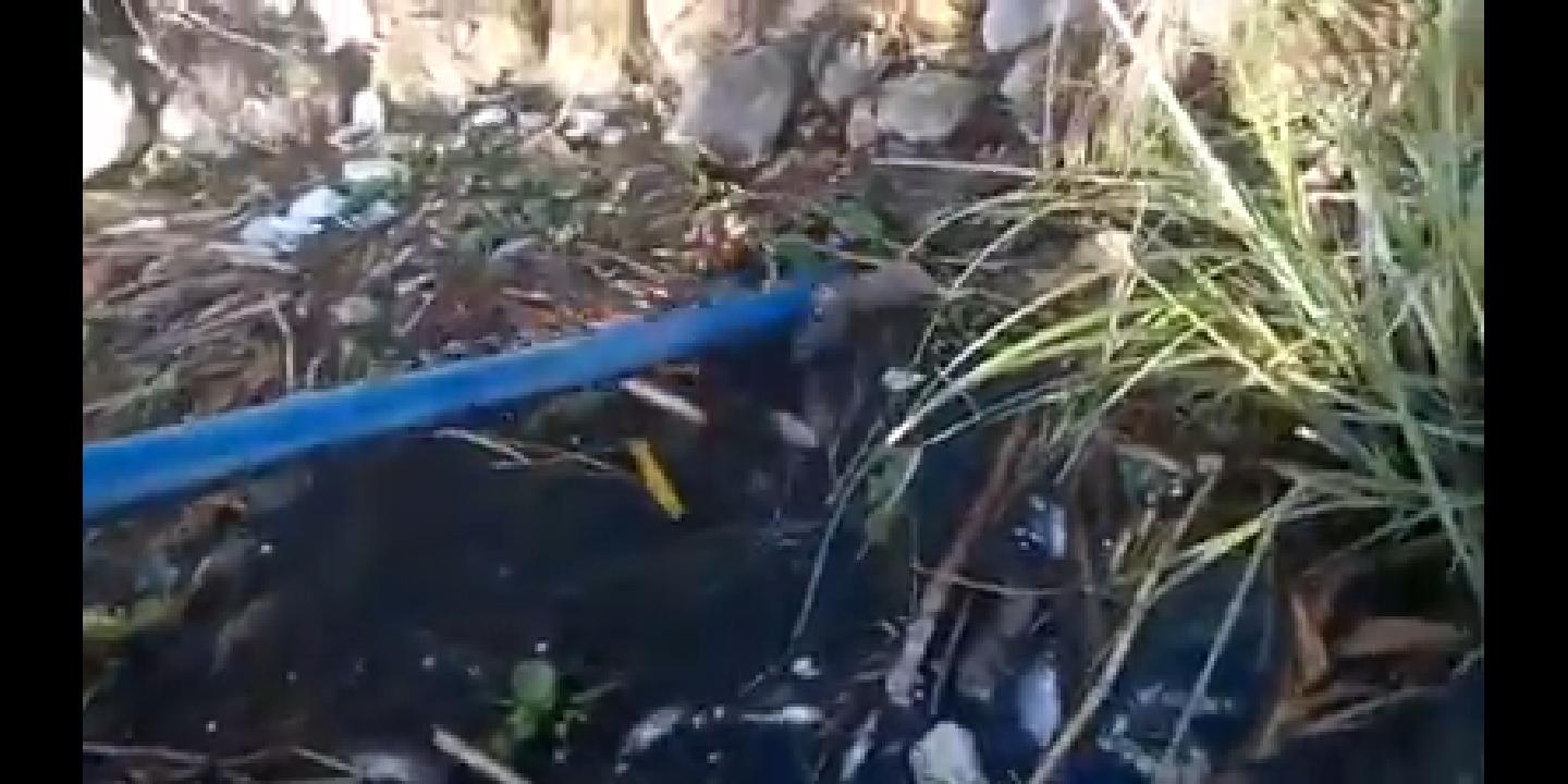 كارثة في بسيون 