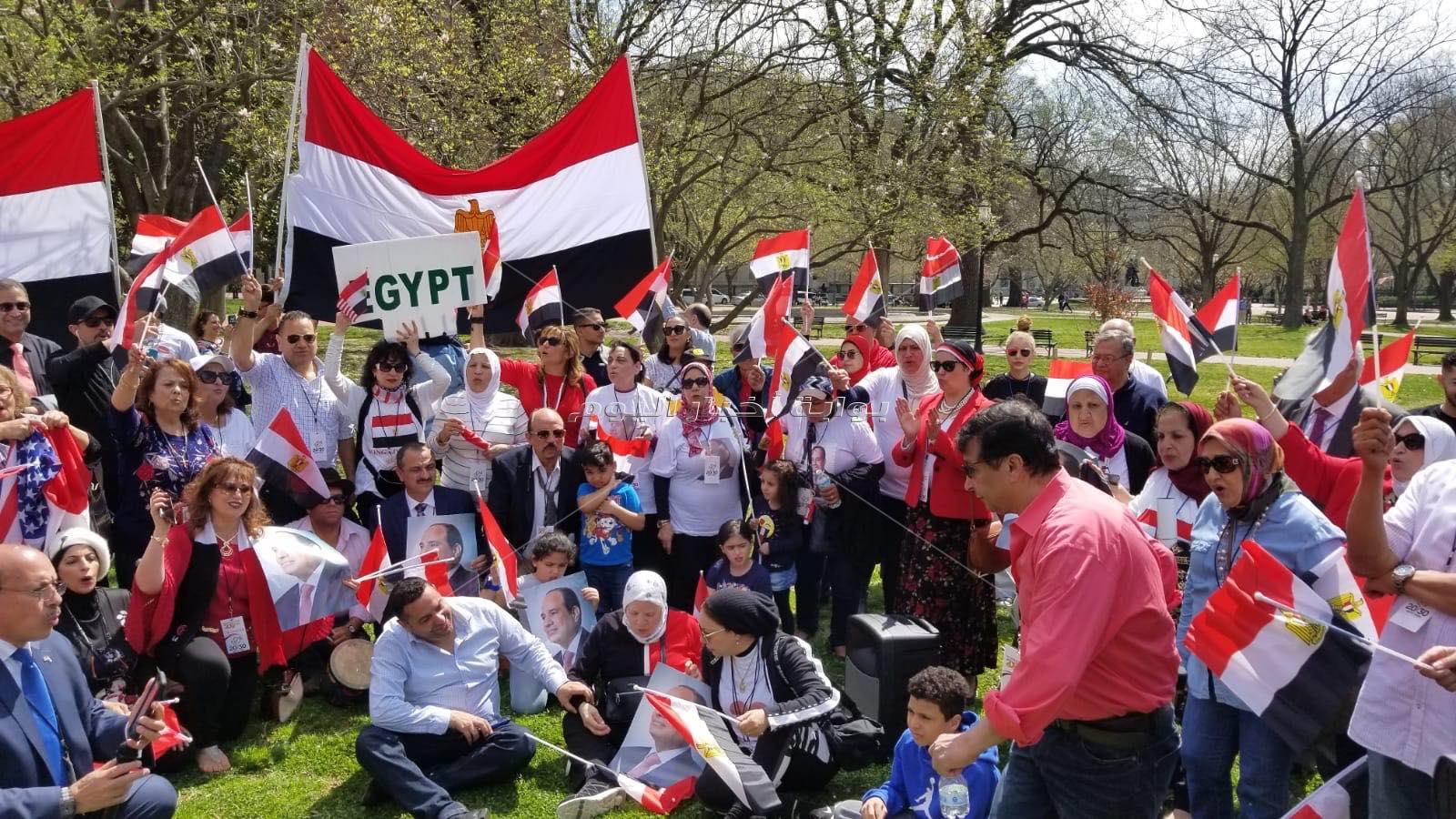 المصريين يردوا بقوة على محاولات الاخوان البائسة للاستقواء بالكونجرس ضد مصر