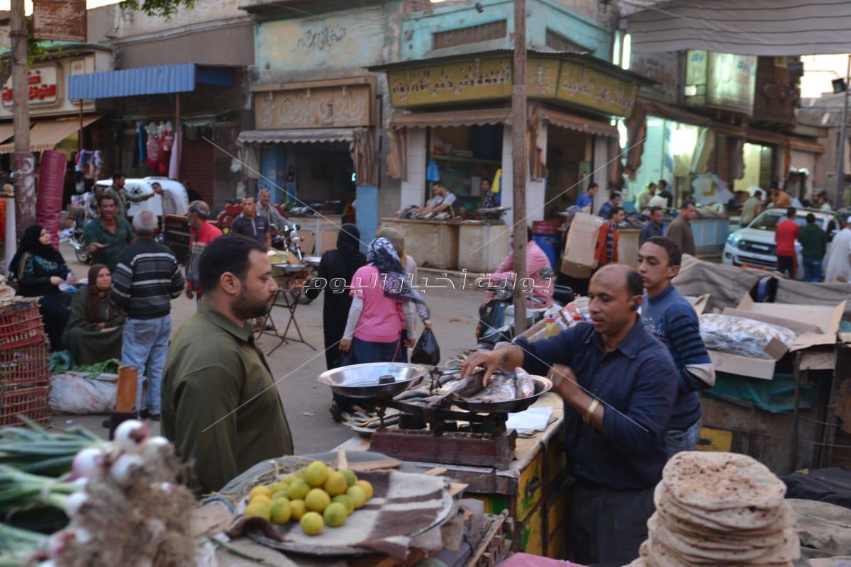 سوق فسيخ طنطا قبلة المواطنين
