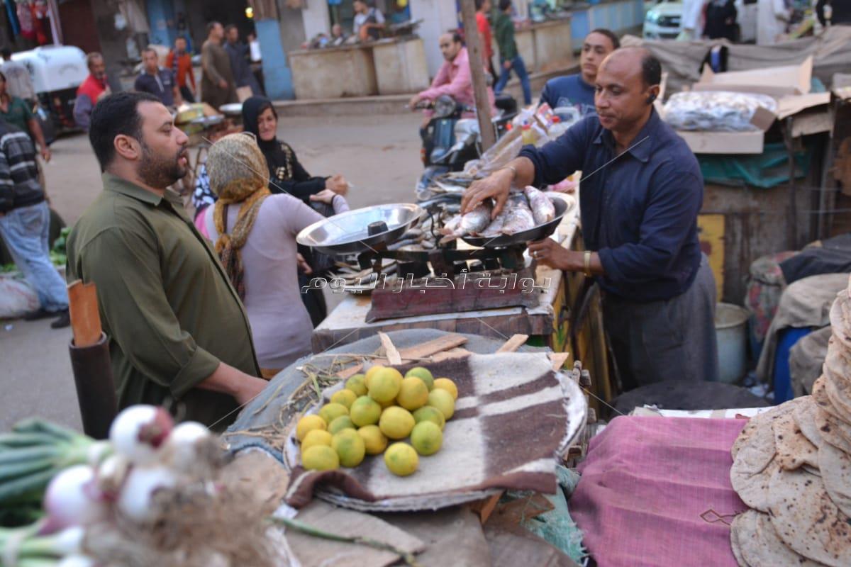 سوق فسيخ طنطا قبلة المواطنين