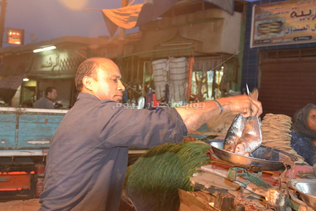 سوق فسيخ طنطا قبلة المواطنين