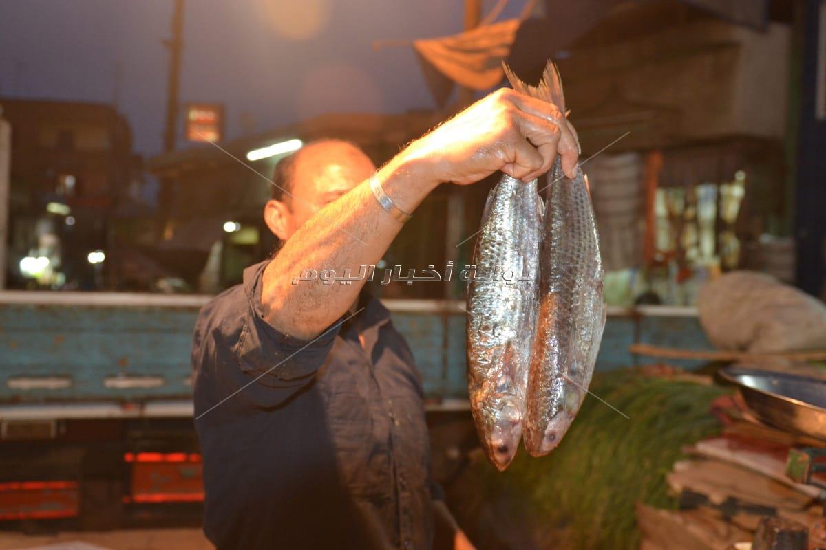 سوق فسيخ طنطا قبلة المواطنين