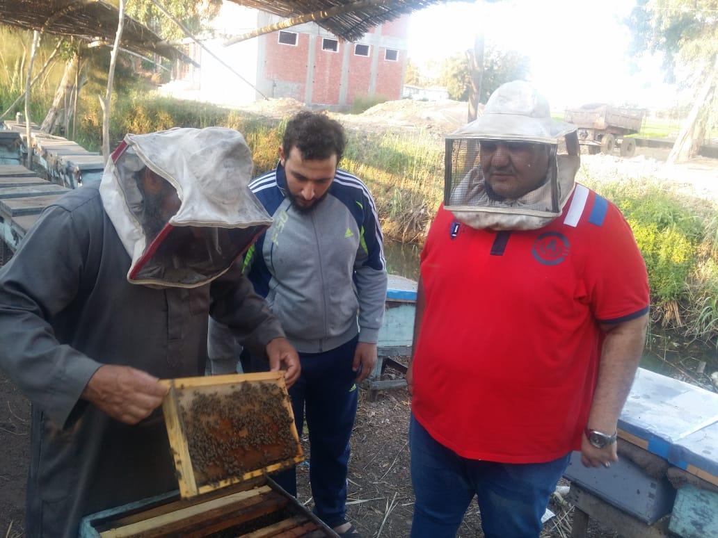 فيديو وصور| رحلة إنتاج عسل النحل في دمياط.. وأصحاب المناحل: نواجه «أزمة»  20190727161008632