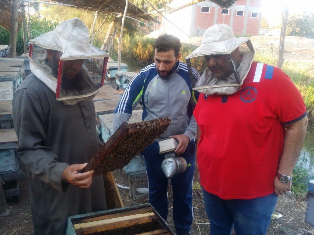 فيديو وصور| رحلة إنتاج عسل النحل في دمياط.. وأصحاب المناحل: نواجه «أزمة»  20190727161008851
