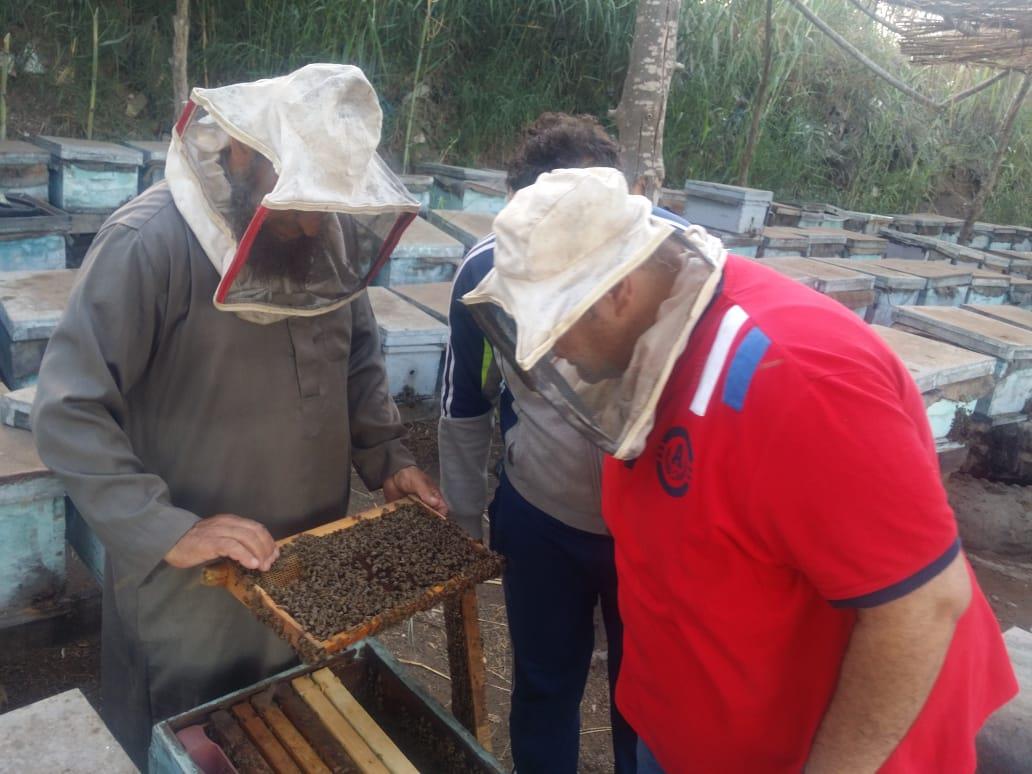 فيديو وصور| رحلة إنتاج عسل النحل في دمياط.. وأصحاب المناحل: نواجه «أزمة»  20190727161009727