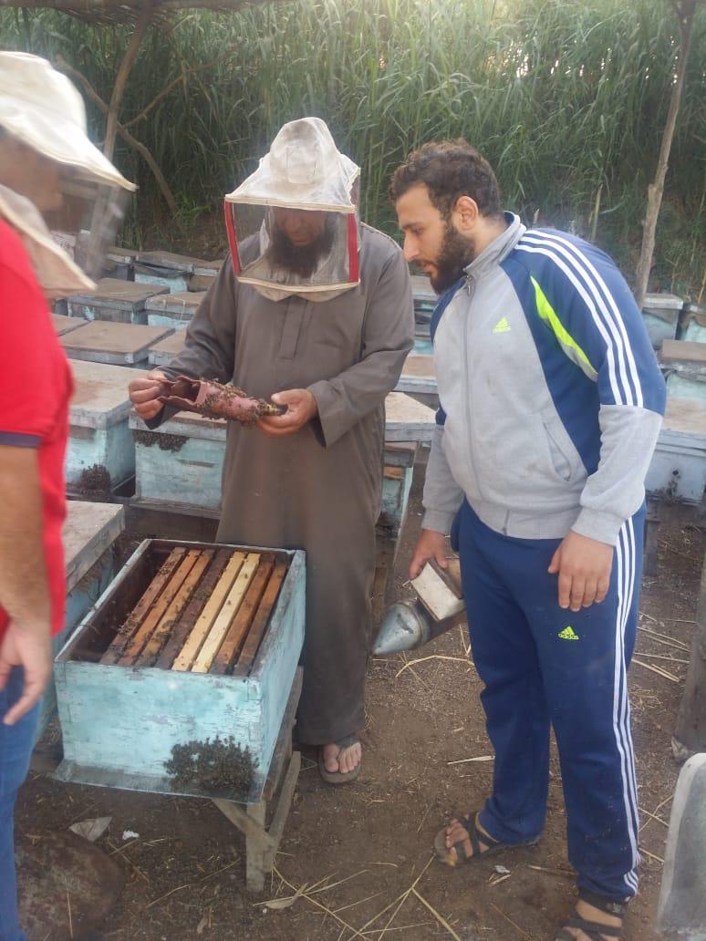 فيديو وصور| رحلة إنتاج عسل النحل في دمياط.. وأصحاب المناحل: نواجه «أزمة»  20190727161009961
