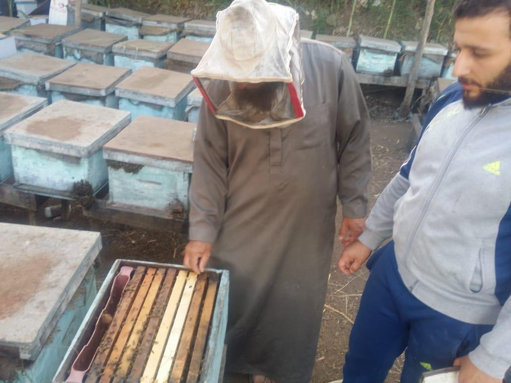 فيديو وصور| رحلة إنتاج عسل النحل في دمياط.. وأصحاب المناحل: نواجه «أزمة»  20190727161010071