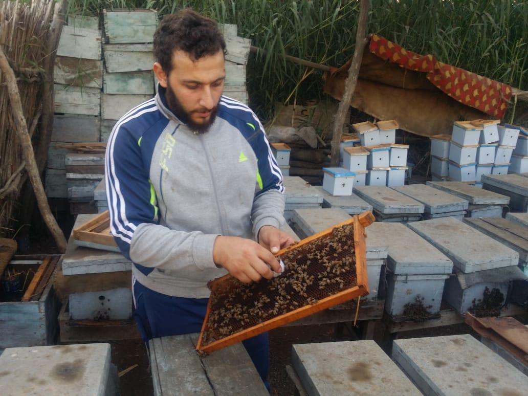 فيديو وصور| رحلة إنتاج عسل النحل في دمياط.. وأصحاب المناحل: نواجه «أزمة»  20190727161010446