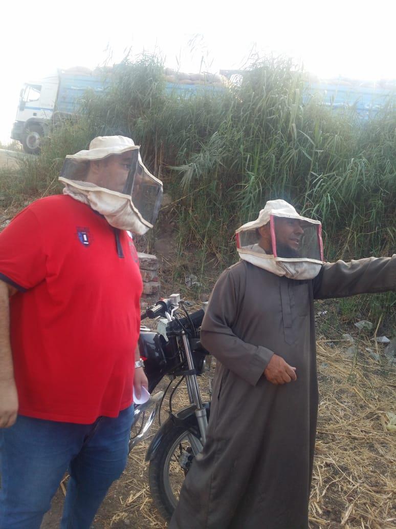 فيديو وصور| رحلة إنتاج عسل النحل في دمياط.. وأصحاب المناحل: نواجه «أزمة»  20190727161010713