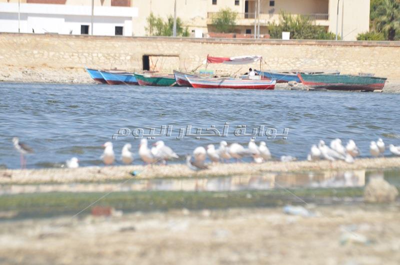 الصيد سيرا على مياه «قارون».. البحث عن الرزق رغم «وحش البحيرة»