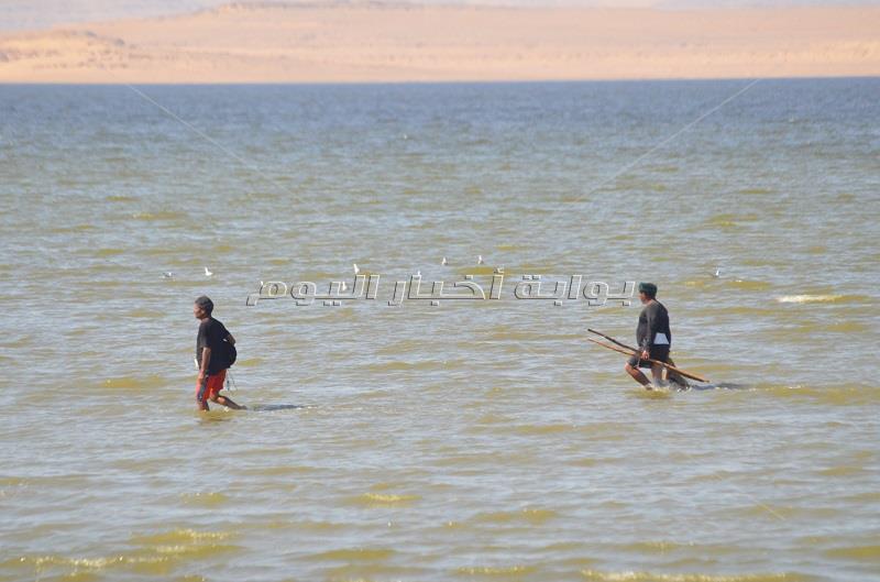 الصيد سيرا على مياه «قارون».. البحث عن الرزق رغم «وحش البحيرة»