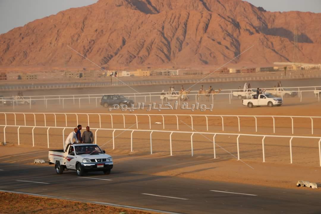 انطلاق فعاليات مهرجان شرم الشيخ الاول للهجن في الذكري 46 لانتصارات اكتوبر