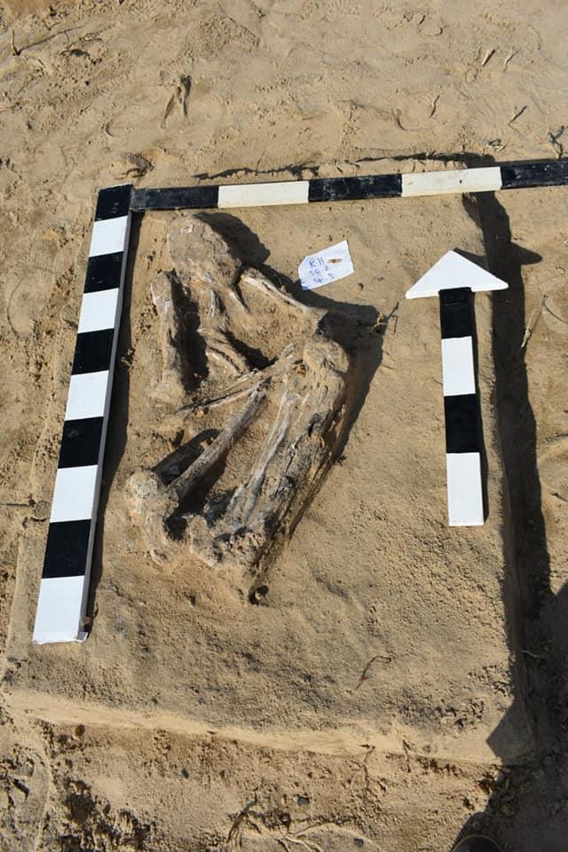 جبانة بتل حسن داوود بالاسماعيلية
