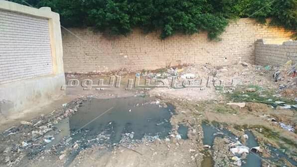مياه الصرف والقمامة تُعيق وصول الطلبة لمدرسة في الإسكندرية