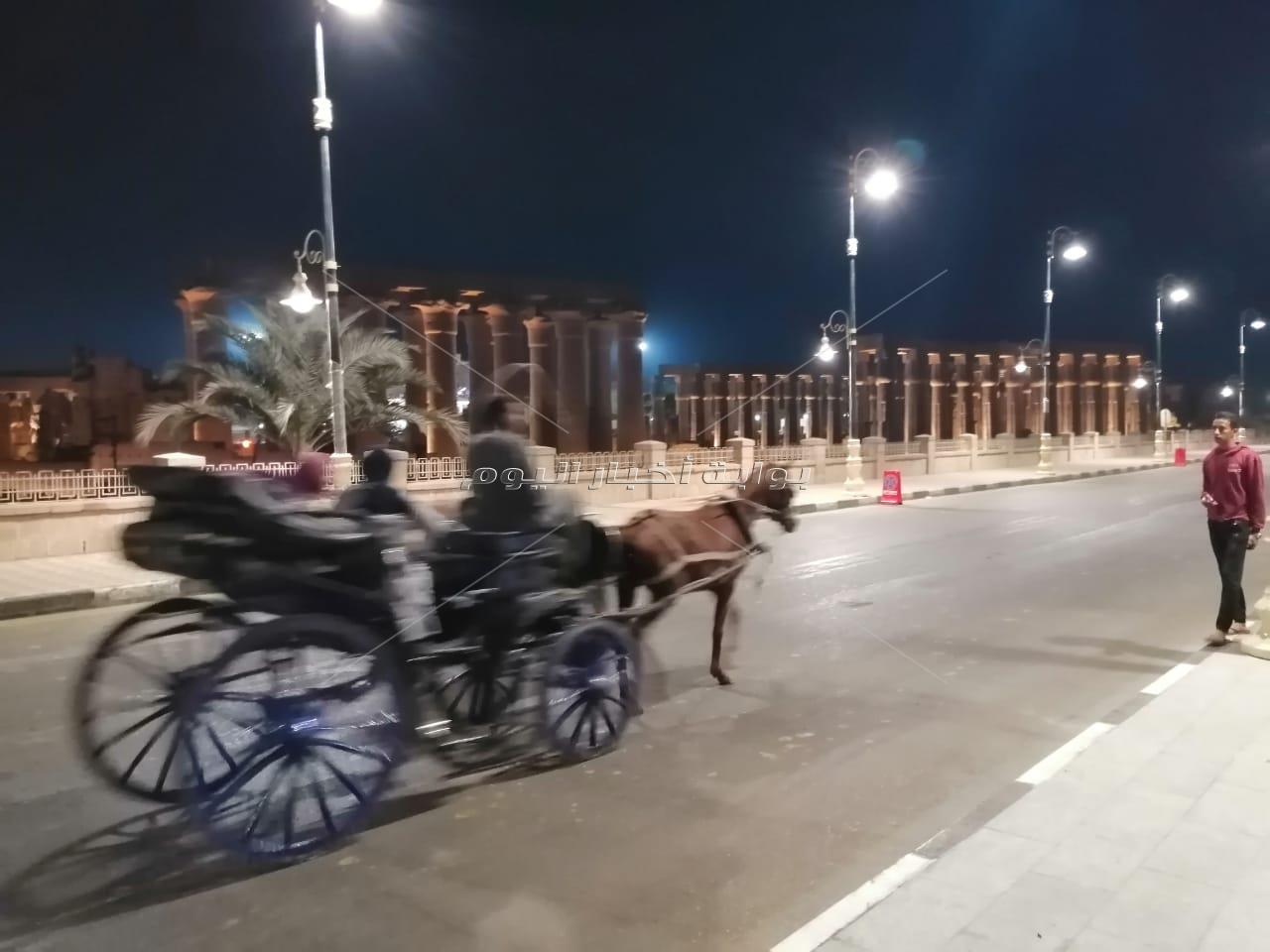 مرسى الأقصر السياحى على أحدث المواصفات العالمية