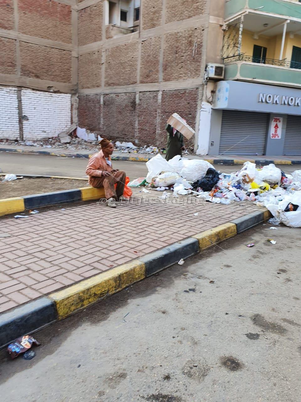 القمامة تحاصر ميدان الزعيم أنور السادات بشبين الكوم