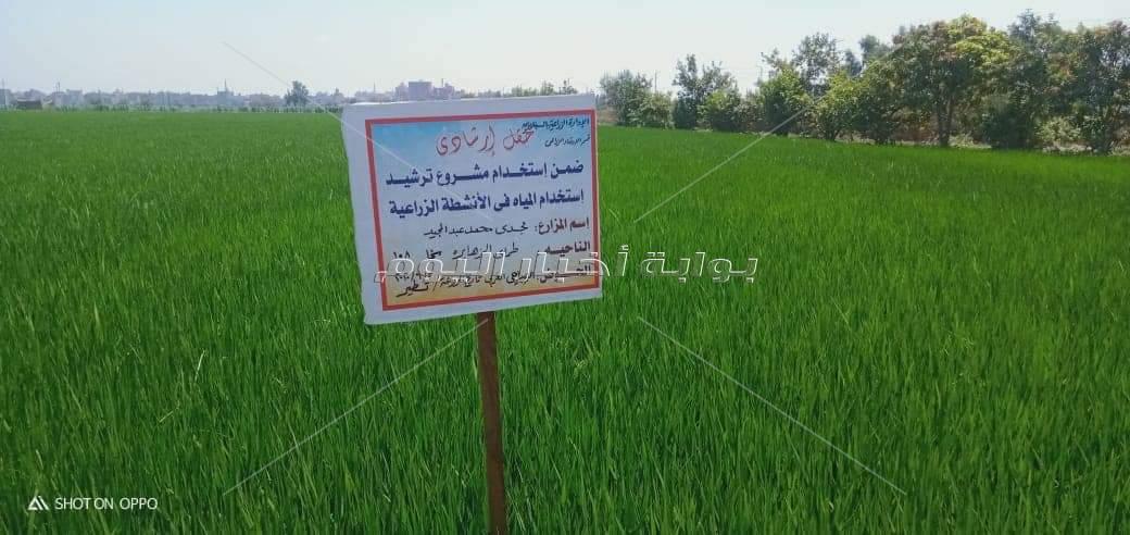الزراعة والبيئة
