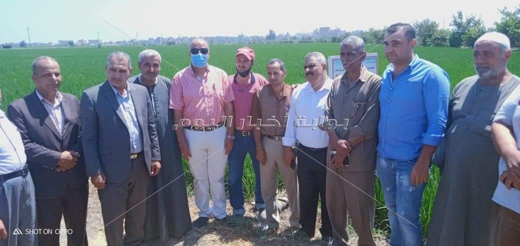 الزراعة والبيئة