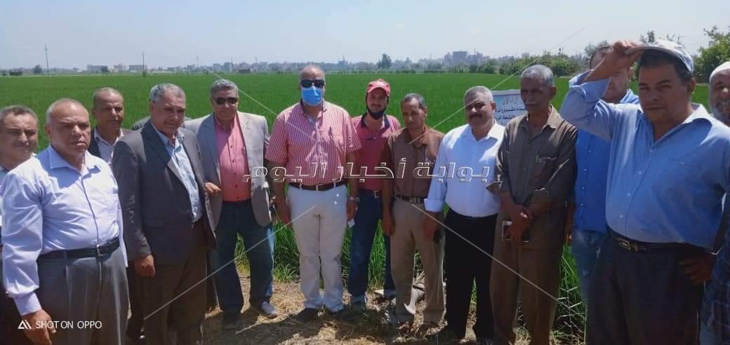 الزراعة والبيئة