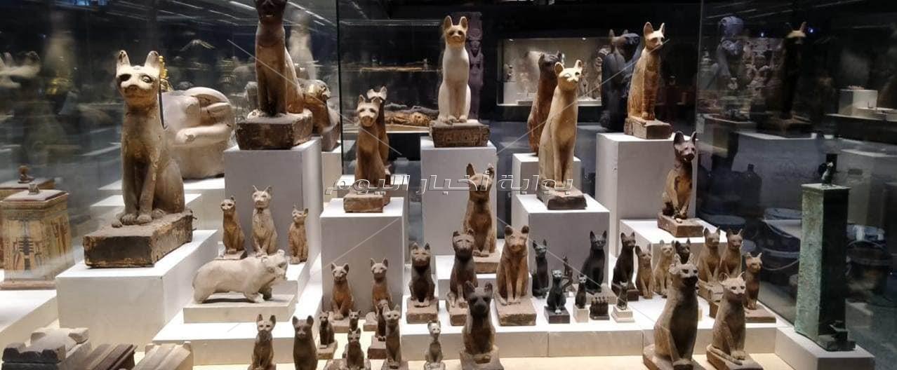 ننفرد. بالصور نادرة لمقتنيات «متحف شرم الشيخ» قبل افتتاحه