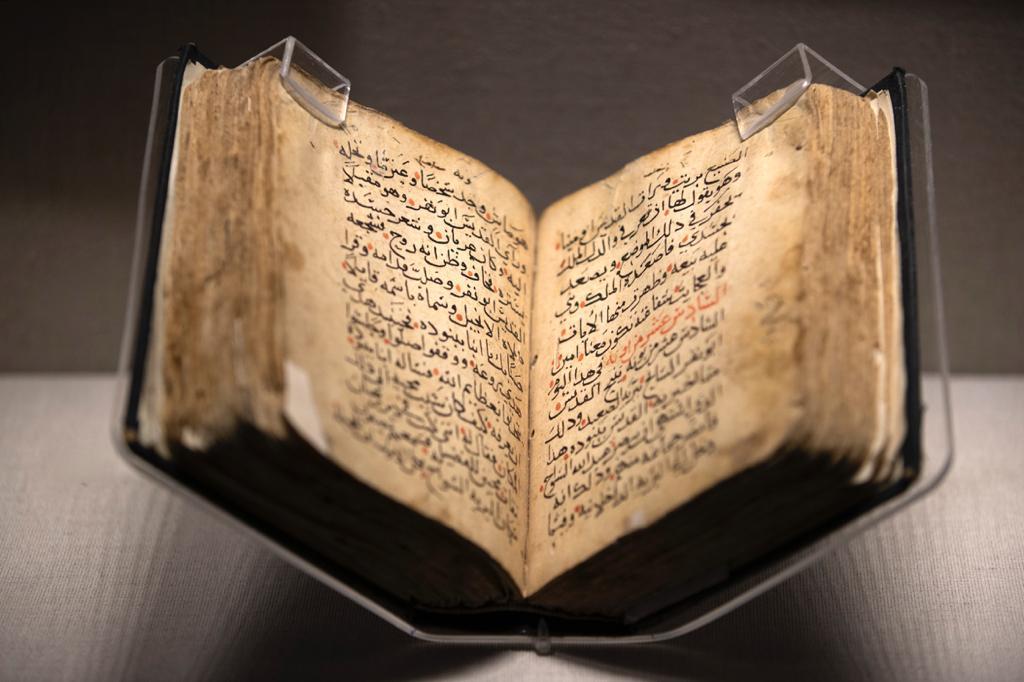 صور متحف كفر الشيخ