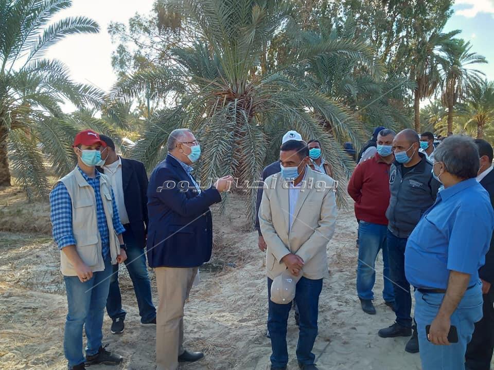 المبني الاداري بمطروح