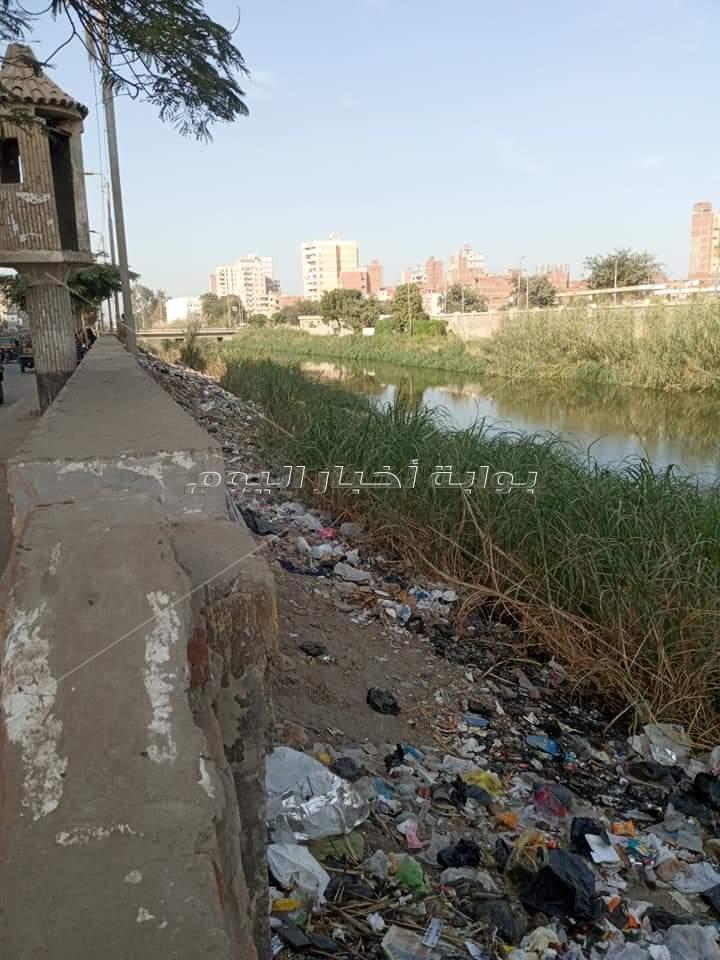 ترعة الإبراهيمية بالمنيا مدفن للمخلفات الطبية.. والمحليات «شاهد مشافش حاجة»