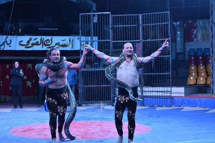 "بيت الفنون الشعبية" يواصل تقديم برنامج السيرك القومى بالعجوزة ومايو
