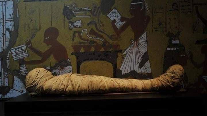 الكشف عن الأمراض بمصر القديمة من خلال دراسة المومياوات   