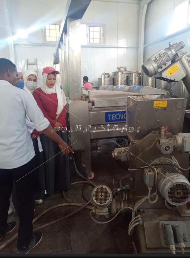 مدرسة الزراعات المطرية بمطروح.. التعليم الفني يواكب السوق والبيئة