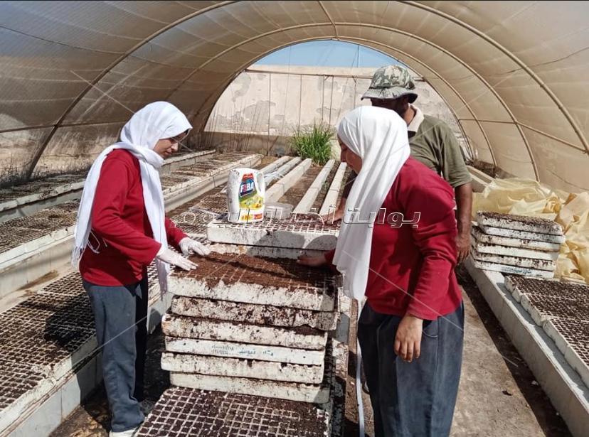مدرسة الزراعات المطرية بمطروح.. التعليم الفني يواكب السوق والبيئة
