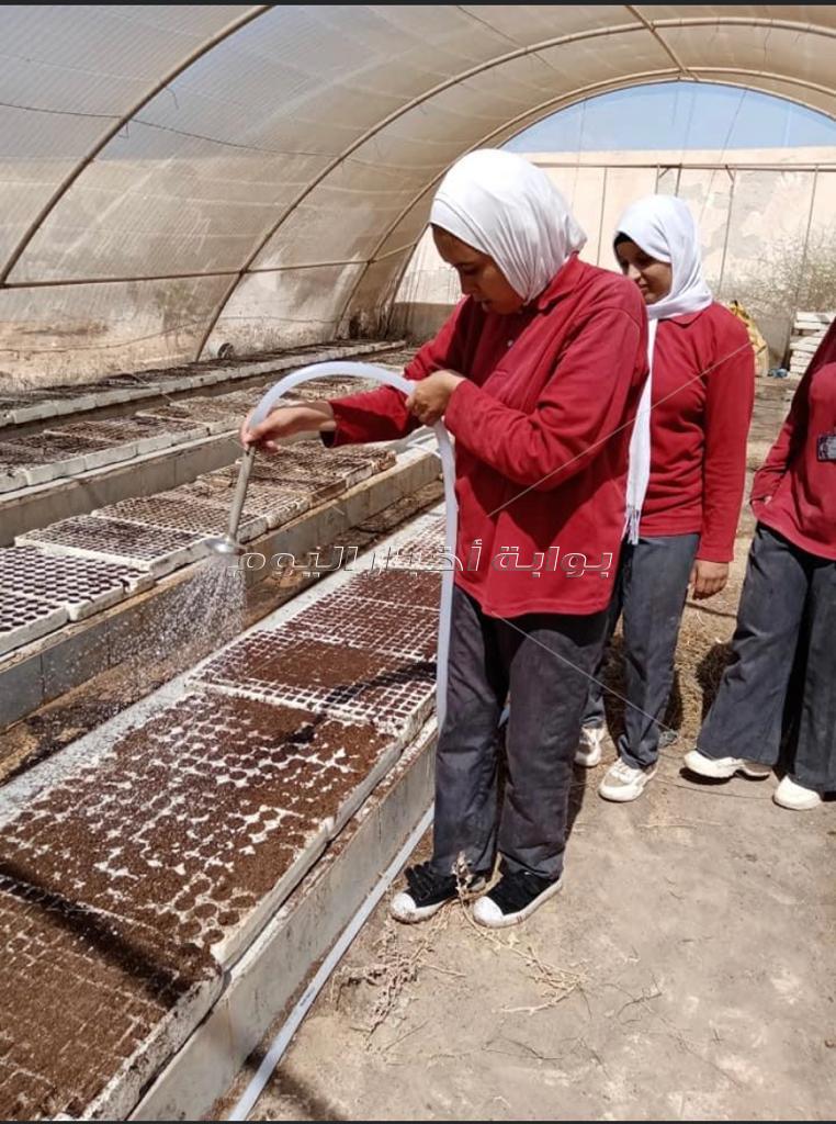 مدرسة الزراعات المطرية بمطروح.. التعليم الفني يواكب السوق والبيئة