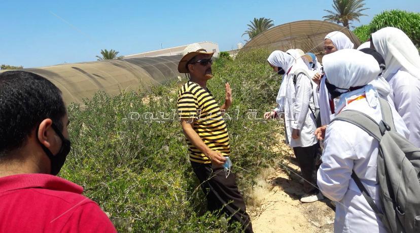 مدرسة الزراعات المطرية بمطروح.. التعليم الفني يواكب السوق والبيئة