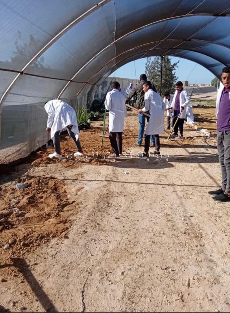 مدرسة الزراعات المطرية بمطروح.. التعليم الفني يواكب السوق والبيئة