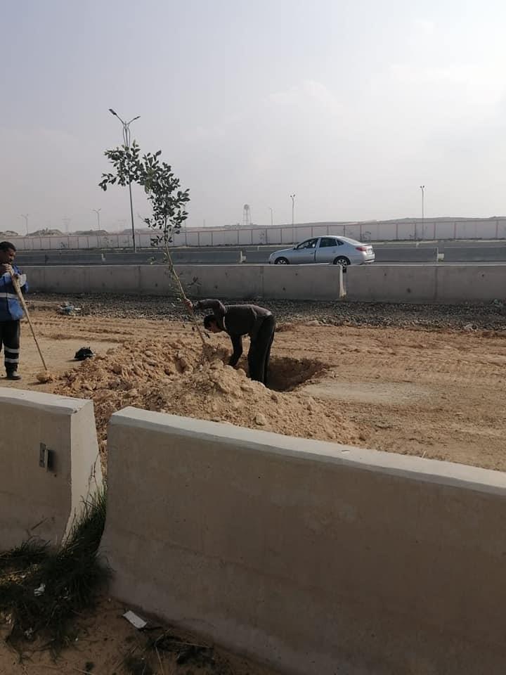 الإسكندرية تستعد لكأس العالم لكرة اليد 