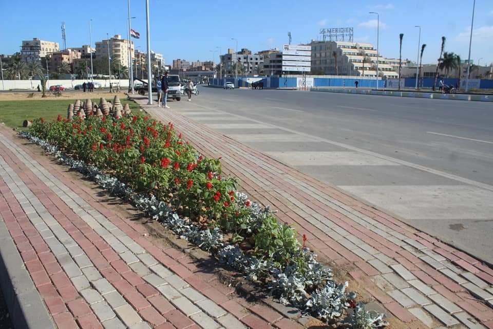 حملات نظافة بأحياء الطالبية والدقي والهرم 