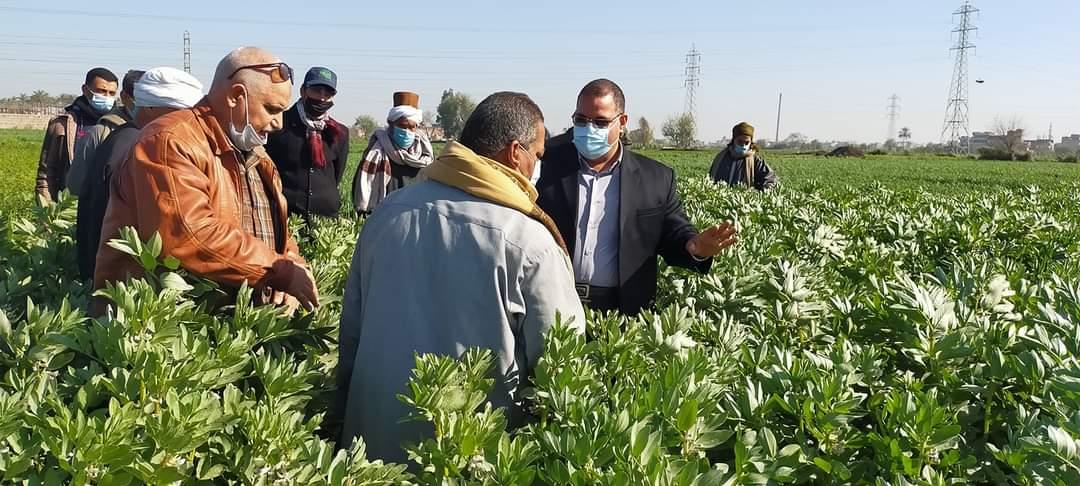 مدرسة حقلية لمحصولي القمح والفول البلدي بالشرقية