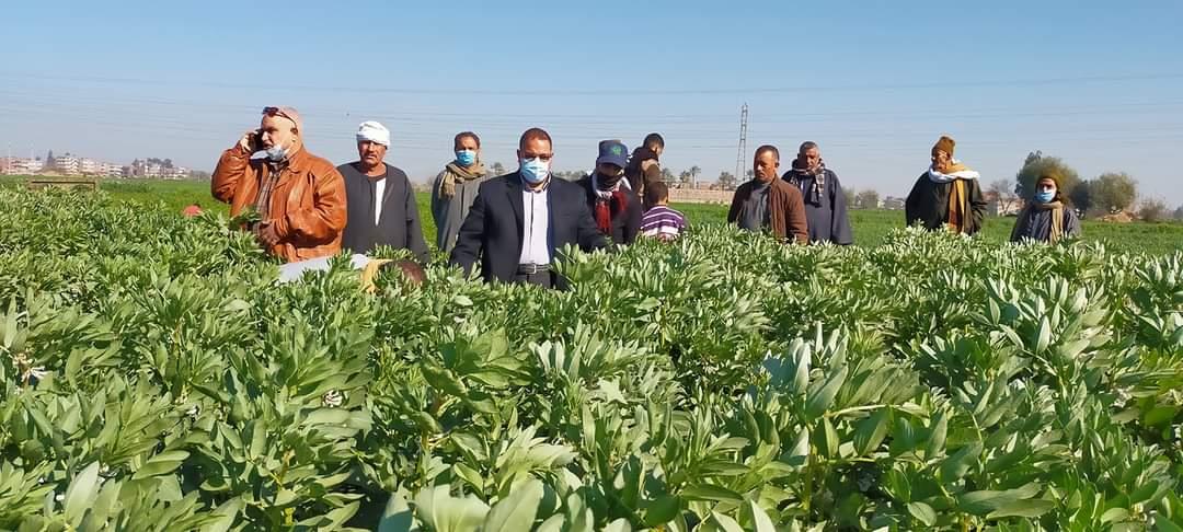 مدرسة حقلية لمحصولي القمح والفول البلدي بالشرقية